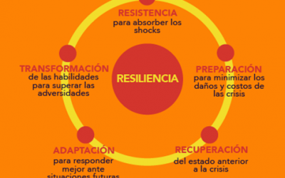 ¿Cómo está su resiliencia?